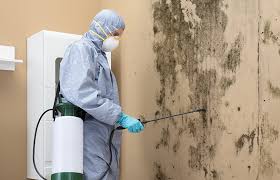 Trusted Joshua Tree, CA Mold Remediation Experts